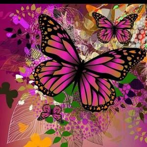 Meet your Posher, Alis